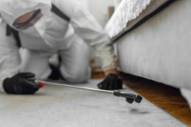 Professional Emergency Pest Control technician working in Corona de Tucson, AZ