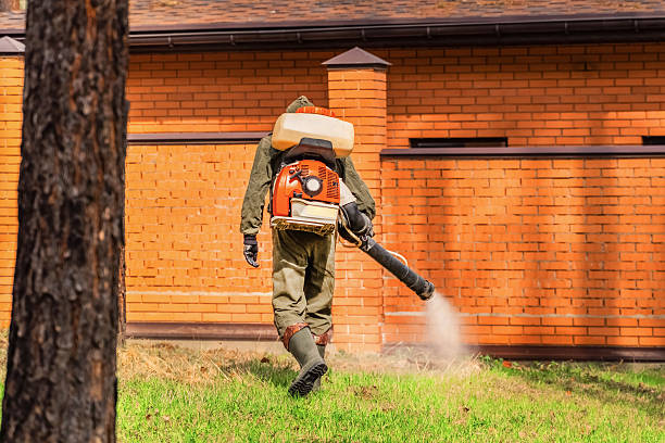 Trusted Termite Control service in Corona de Tucson, AZ - Nex Pest Control